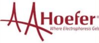 Hoefer